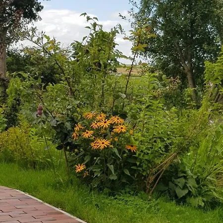 Lägenhet Gulfhof Anelis *