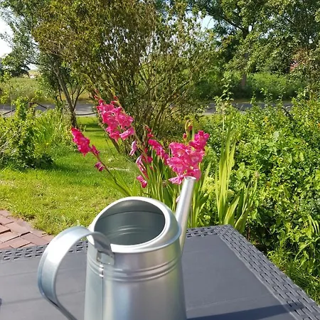 Gulfhof Anelis Lejlighed *