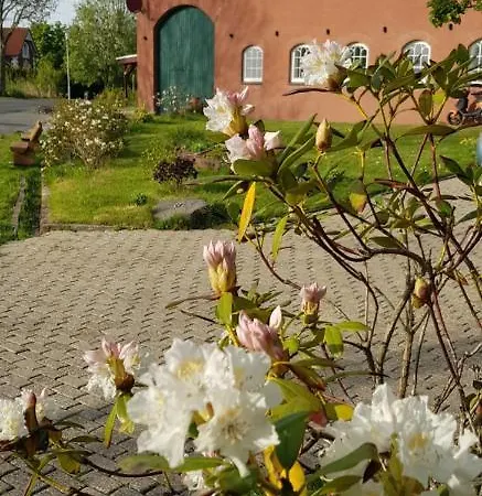 Gulfhof Anelis Apartment