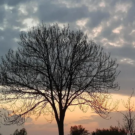 Appartamento Gulfhof Anelis