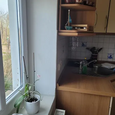 Apartment Gulfhof Anelis Krummhoern