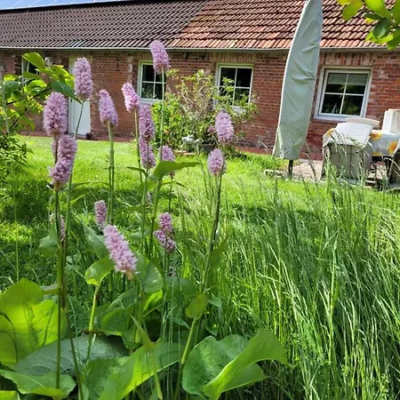 Gulfhof Anelis Lägenhet *