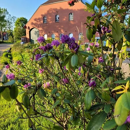 Lägenhet Gulfhof Anelis