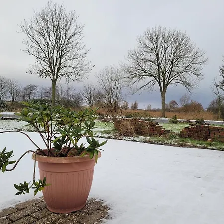 Gulfhof Anelis * Krummhoern
