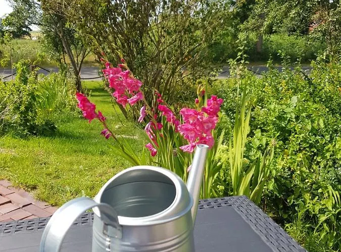 Gulfhof Anelis Lejlighed *