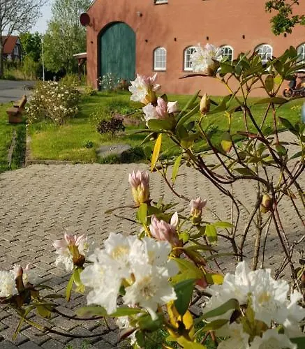 Gulfhof Anelis Lägenhet