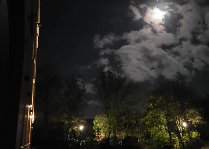 Gulfhof Anelis Lejlighed *