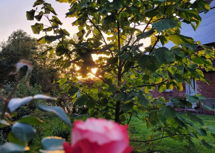 Gulfhof Anelis * Krummhörn