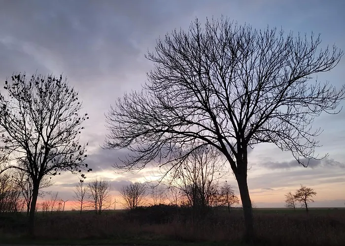 Gulfhof Anelis Lejlighed Krummhörn